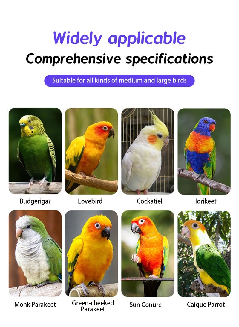 كيدل قفص الطيور بيت الطيور قفص الطيور الببغاء مع الوقوف المتداول للبعوجين اللعب - Image 5